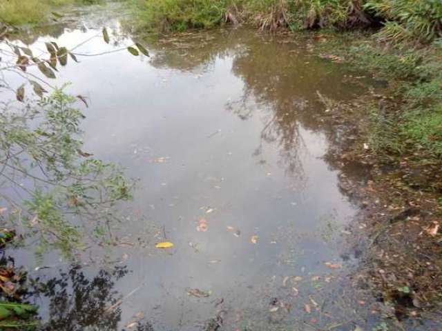 Terreno - Em rua, para Venda em Pinhalzinho/SP