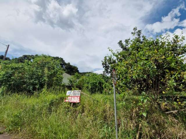 Terreno para venda no São Dimas