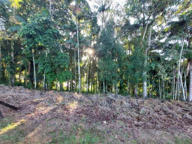 Terreno à venda na Rua Arnoldo Lübke, 09, Velha, Blumenau, 765 m2 por R$ 530.000