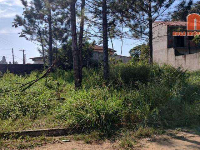 Terreno à venda, 325 m² por R$ 60.000,00 - Balneário São João Batista III - Peruíbe/SP