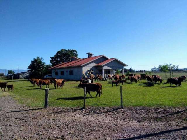 Fazenda com 3 dormitórios à venda, 3300000 m² por R$ 30.000.000,00 - Três Coqueiros - São João do Sul/SC