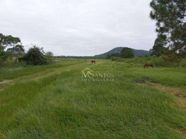 Terreno à venda, 48230 m² por R$ 12.850.000,00 - São João do Rio Vermelho - Florianópolis/SC