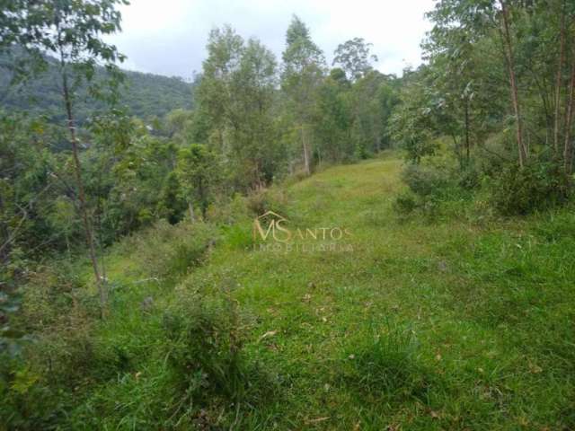 Fazenda à venda, 150000 m² por R$ 650.000,00 - Interior  - Imaruí/SC