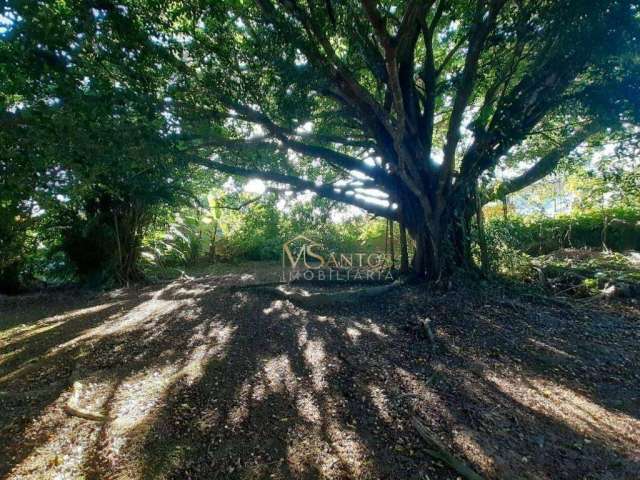 Terreno à venda, 1583 m² por R$ 1.950.000,00 - Cachoeira do Bom Jesus - Florianópolis/SC