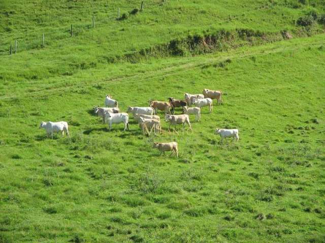 Fazenda à venda, 640000 m² por R$ 3.710.000,00 - Aratingauba - Imaruí/SC