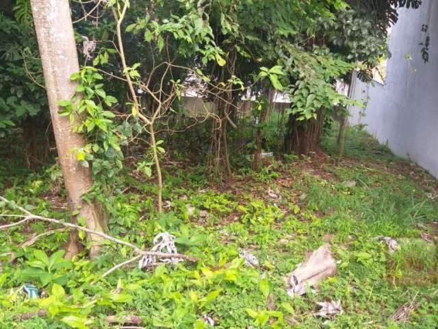 Terreno  à Venda em Chácara Monte Alegre  -  São Paulo