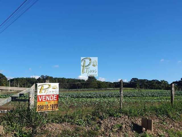 Chácara para Venda em São José dos Pinhais, Colônia Mergulhão