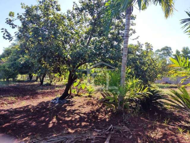 Chácara à venda, 20012 m² por R$ 1.200.000,00 - Fazenda Nata - Londrina/PR