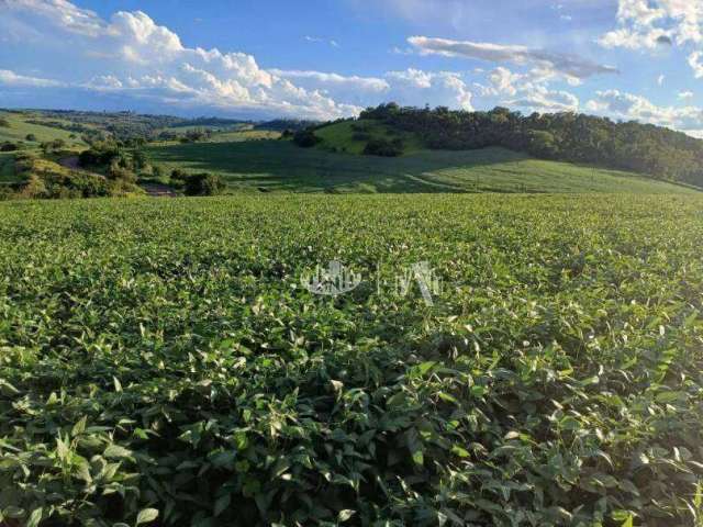 Sítio à venda por R$ 3.700.000 - Rural - Londrina/PR