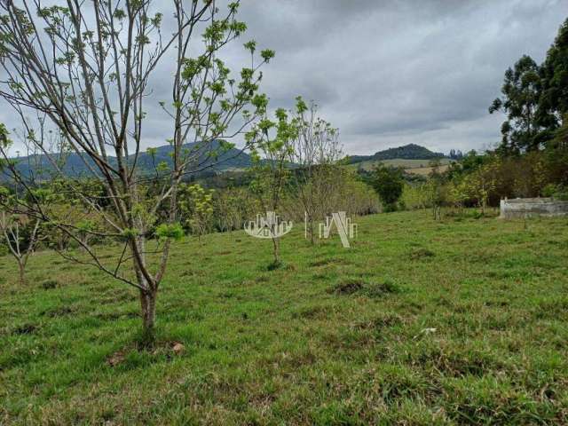 Chácara com 3 quartos  à venda, 62007 m² por R$ 550.000 - Zona Rural - Tamarana/PR