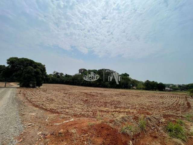 Área à venda, 51000 m² por R$ 5.100.000,00 - Recanto do Salto - Londrina/PR