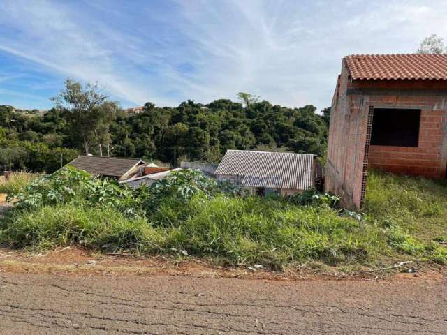 Terreno à venda, 200 m² por R$ 80.000,00 - Jardim Planalto - Londrina/PR