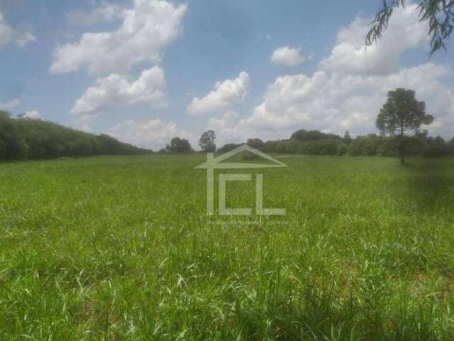 Área à venda, 23040 m² por R$ 2.430.000,00 - Rural - Londrina/PR