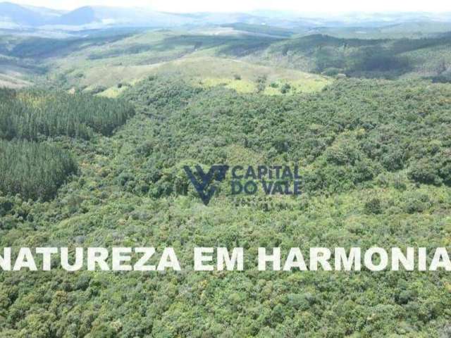 Fazenda à venda, 2050000 m² por R$ 5.200.000 - Zona Rural - São Sebastião do Paraíso/MG