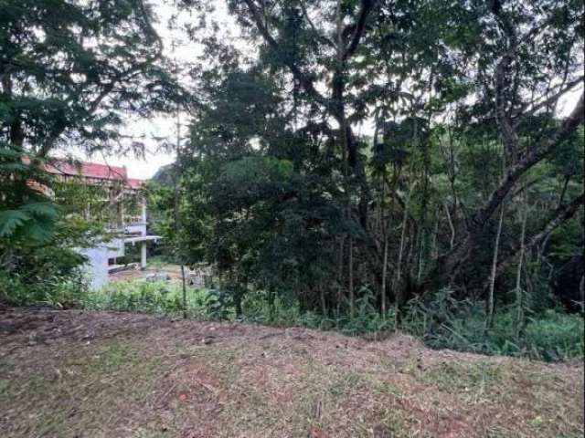 Terreno à venda, 800 m² por R$ 320.000,00 - Condomínio Reserva Ibirapitanga - Santa Isabel/SP