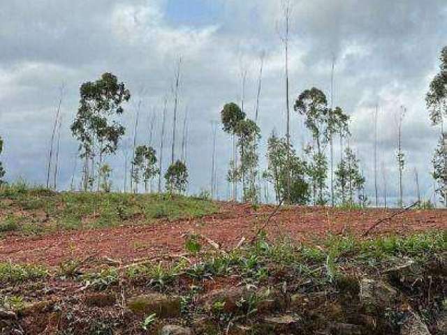 Terreno à venda, 5000 m² por R$ 650.000,00 - Santa Isabel - Santa Isabel/SP