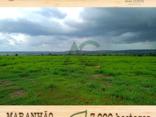 VENDO FAZENDA próxima a Feira Nova do MARANHÃO com 7.000 hectares