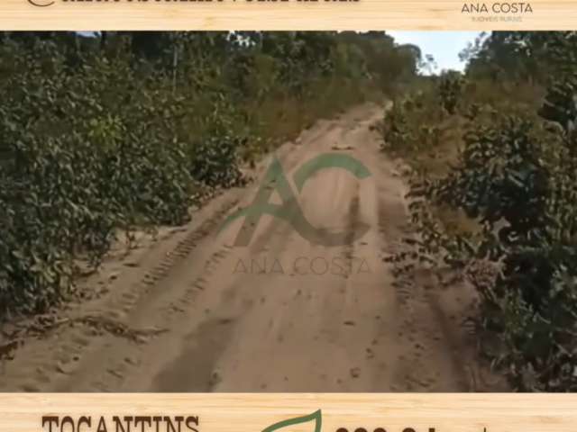 VENDO FAZENDA em Rio Sono no TOCANTINS com 629,2 hectares