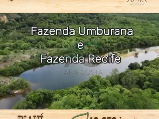 VENDO FAZENDA em Castelo do PIAUÍ com 12.372 hectares