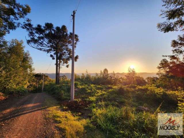 Excelente area de terras para construir perto do centro de nova petropolis-rs.