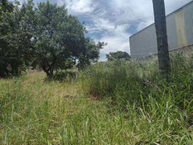 Terreno em rua - Bairro Sagrado Coração de Jesus em Louveira