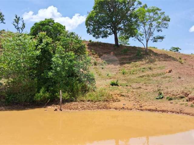 Chácara Capivari, Planalmira, Abadiânia/GO - (Venda)