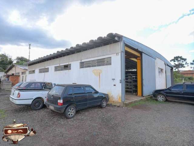 Barracão para alugar, 900 m² por R$ 8.000,00/mês - Piriquitos - Ponta Grossa/PR