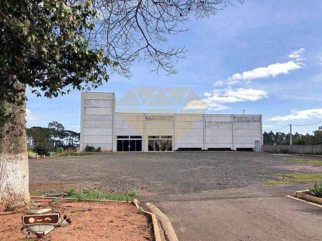 Barracão para Locação - Av. Souza Naves - 790m²