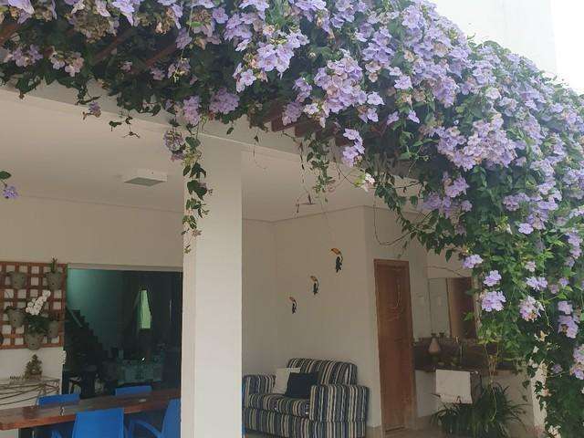 Casa para Venda em Uberlândia, Jardim Karaíba, 3 dormitórios, 3 suítes, 2 banheiros, 5 vagas