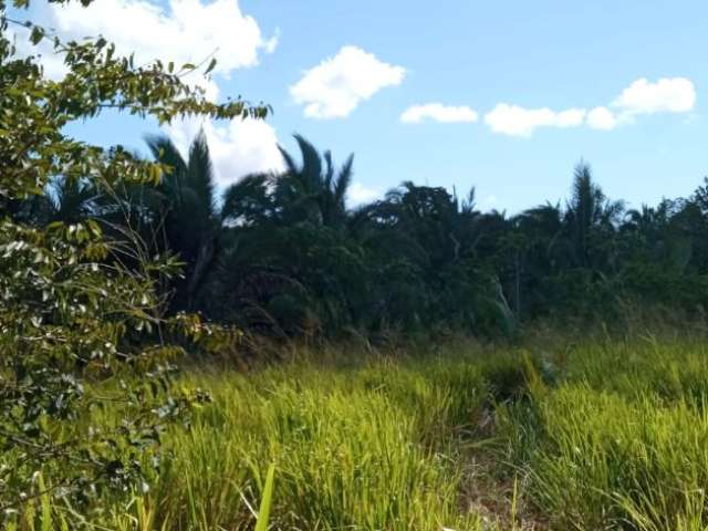 Sítio a venda em Chapada dos Guimarães - MT