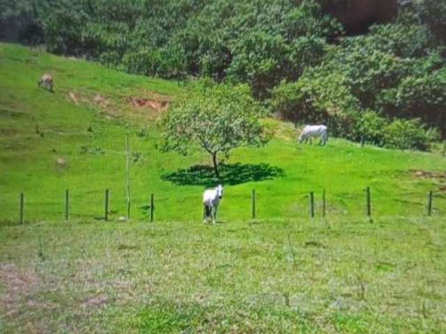 Sítio em rocha leao  -  Rio das Ostras