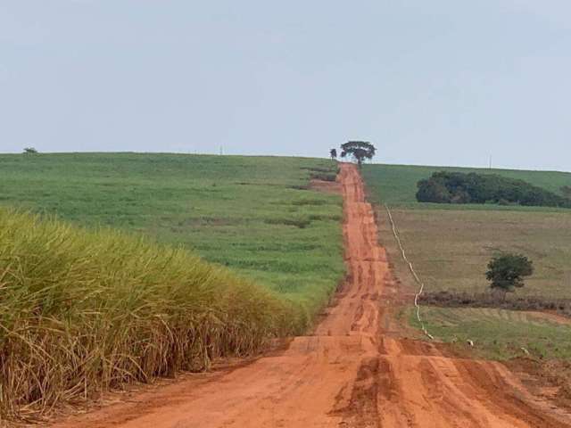 Fazenda para Venda em Araras, Jardim Nova Europa