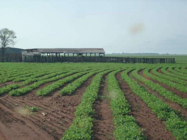 Fazenda para Venda em Marília, Palmital, 3 dormitórios, 2 suítes, 3 banheiros, 2 vagas