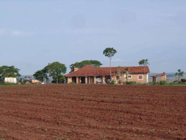 Fazenda para Venda em Araras, Jardim Nova Europa, 3 dormitórios, 2 suítes, 4 banheiros, 5 vagas