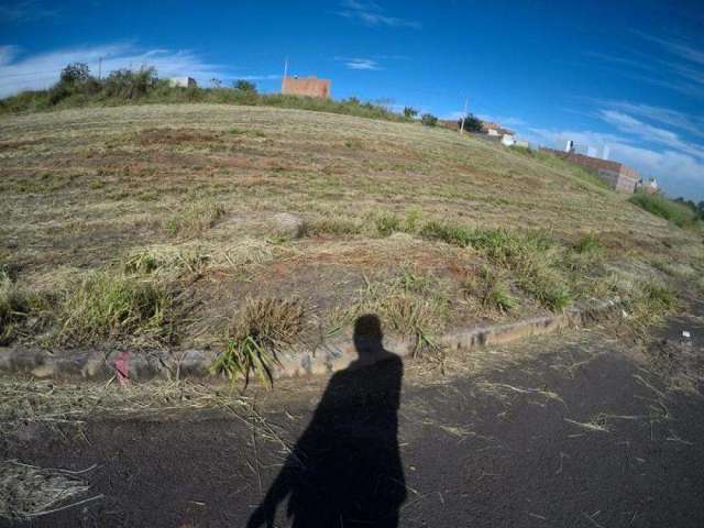 Terreno Padrão em Bady Bassitt