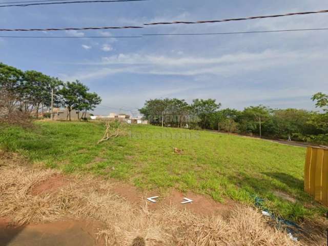 Borboleta 3 lote de 230m²