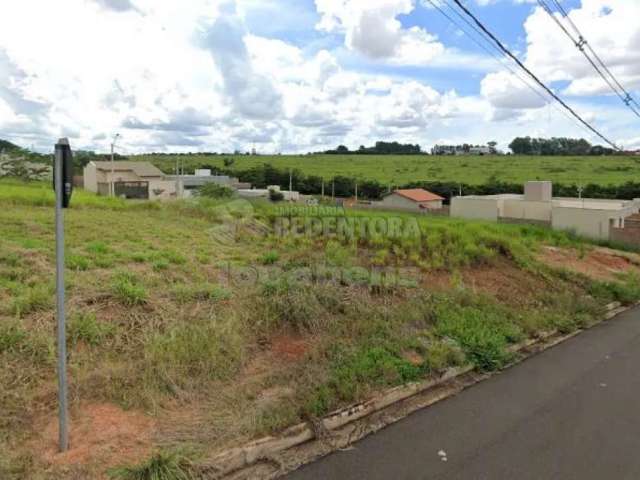 Ótimo terreno com 200m² no Colina (Rio Preto)