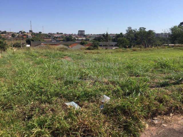 Terreno Padrão em Bady Bassitt