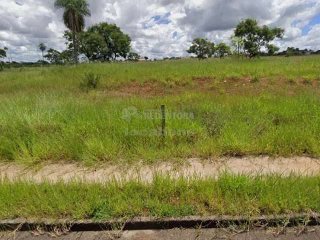 Terreno Padrão em São José do Rio Preto