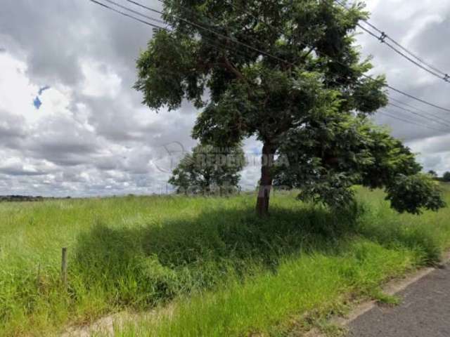 Terreno Padrão em São José do Rio Preto