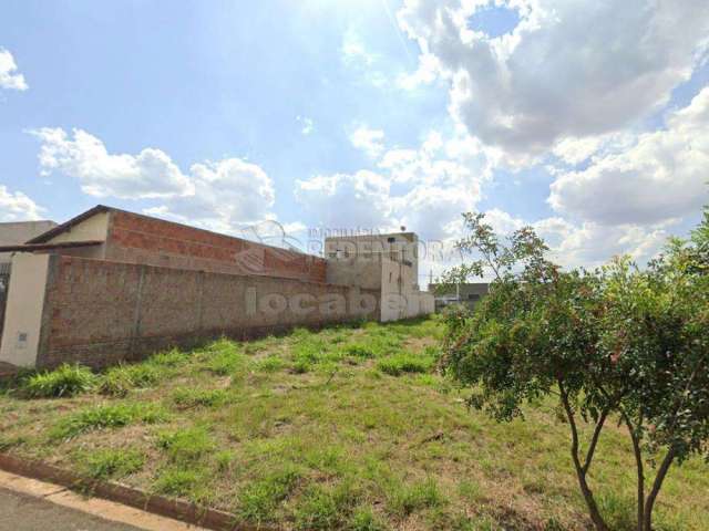 Terreno Padrão em São José do Rio Preto