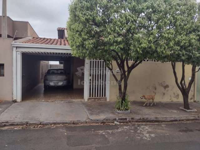 Casa Padrão em São José do Rio Preto