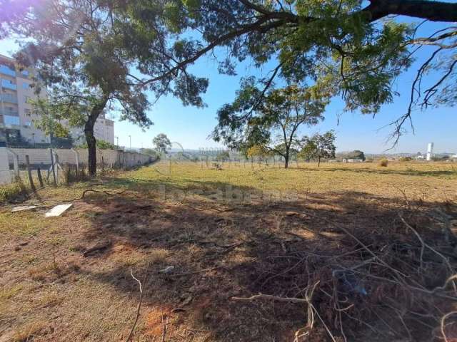 Terreno / Área À  Venda com 8.000 m² na  Vila São Judas Tadeu