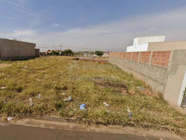 Terreno Padrão em São José do Rio Preto