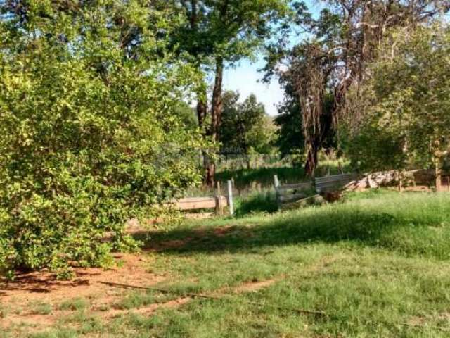 Rural Chácara em São José do Rio Preto