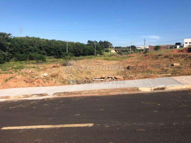 Terreno Padrão em São José do Rio Preto