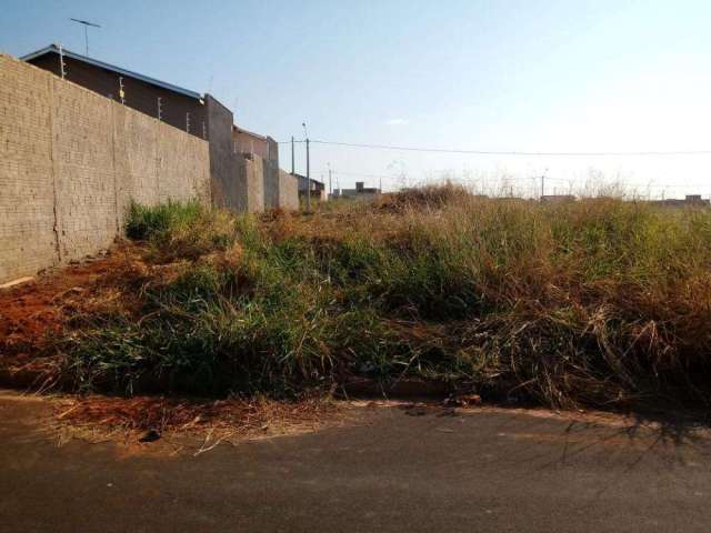 Terreno Padrão em São José do Rio Preto