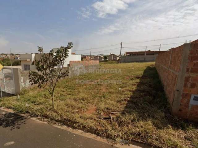 Terreno Padrão em São José do Rio Preto