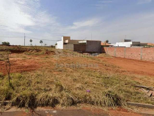 Terreno Padrão em São José do Rio Preto