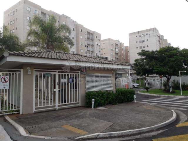 Apartamento Padrão em São José do Rio Preto